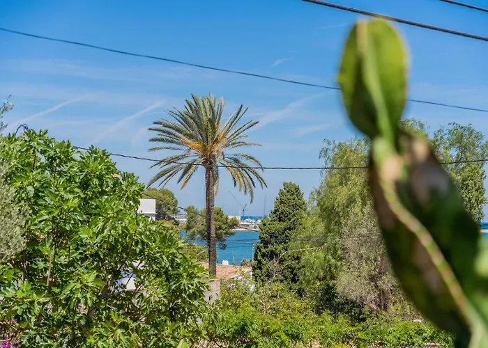 Ferienhaus In Denia: Beachfront With Bbq *